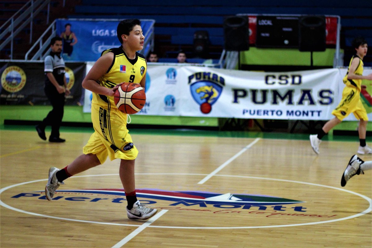 Resultado de imagen para cd pumas de pto varas basquetbol
