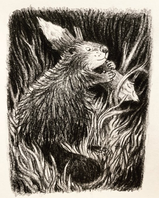 he hid the log beneath some rushes where no one would find it. 