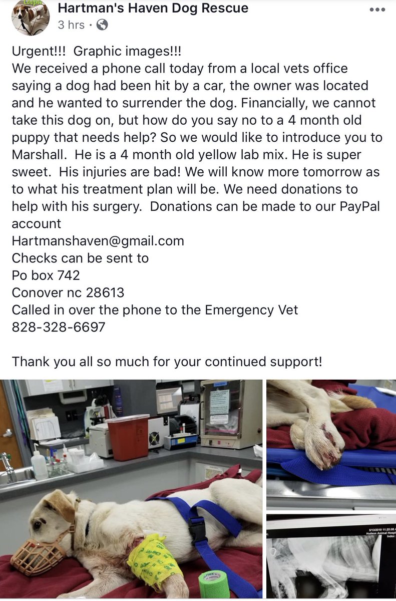 Matt DiBenedetto (@mattdracing) on Twitter photo 