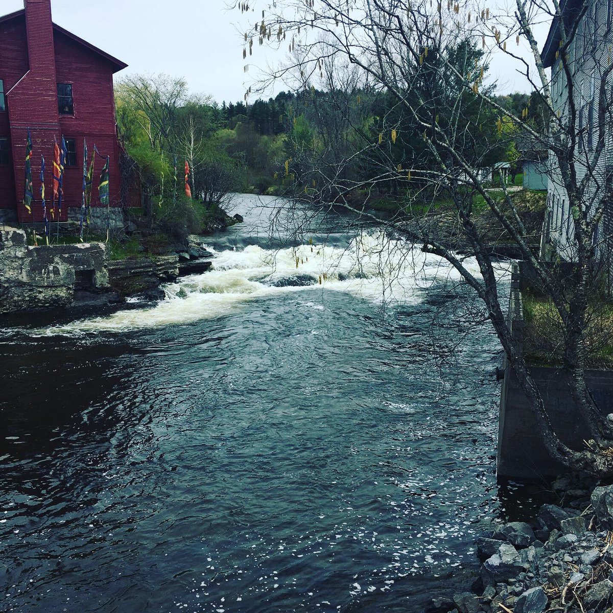 wondwritworld's tweet photo. Day 1 Vermont writing residency. I #amwriting and #willfinish finally, in spite of it all, or because of it all. https://t.co/bw2eySA474