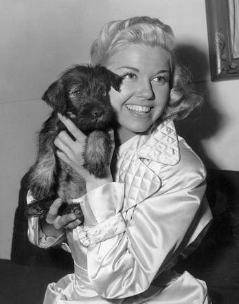 67/ Doris Day.An egregious omission by the Academy as any other.Although late in life she asked not to be considered for Honorary Award, they should still have honoured her Humanitaran work.