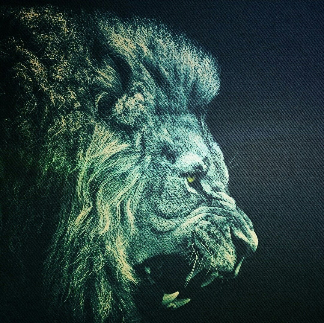 Rasapaya's tweet photo. #NewProfilePic https://t.co/3uqrsbD5Z4