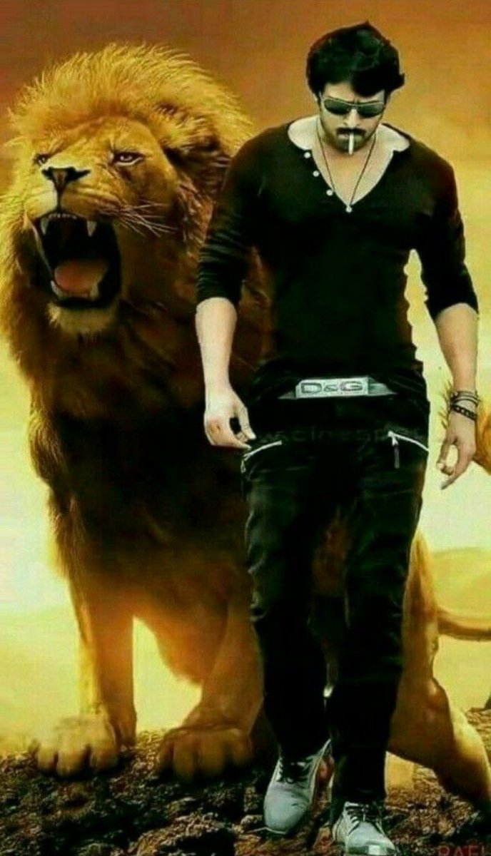 ElyBahiana@aol.com tweet media