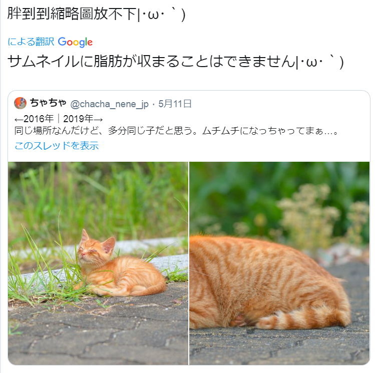 [圖]