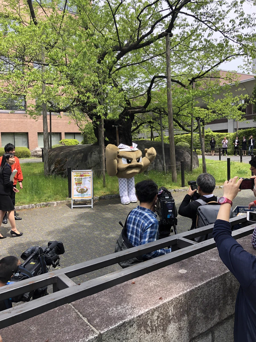 イシツブテに足生えてるｗｗｗ