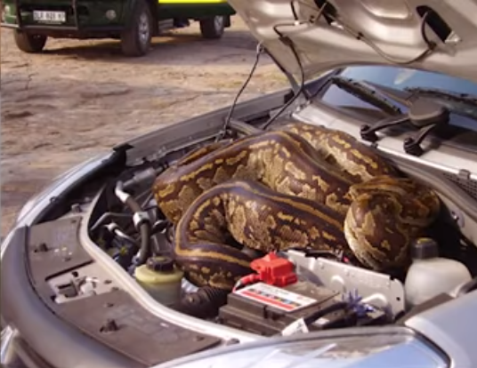 JohnHerbecks's tweet image. Are you afraid to open your hood? Afraid of what you may find? Here at John Herbeck's Auto Repair, we're not. We fix scary and not so scary problems all the time.
#goodhonestautorepair #autorepair #shopsmall
@smallbiztrends