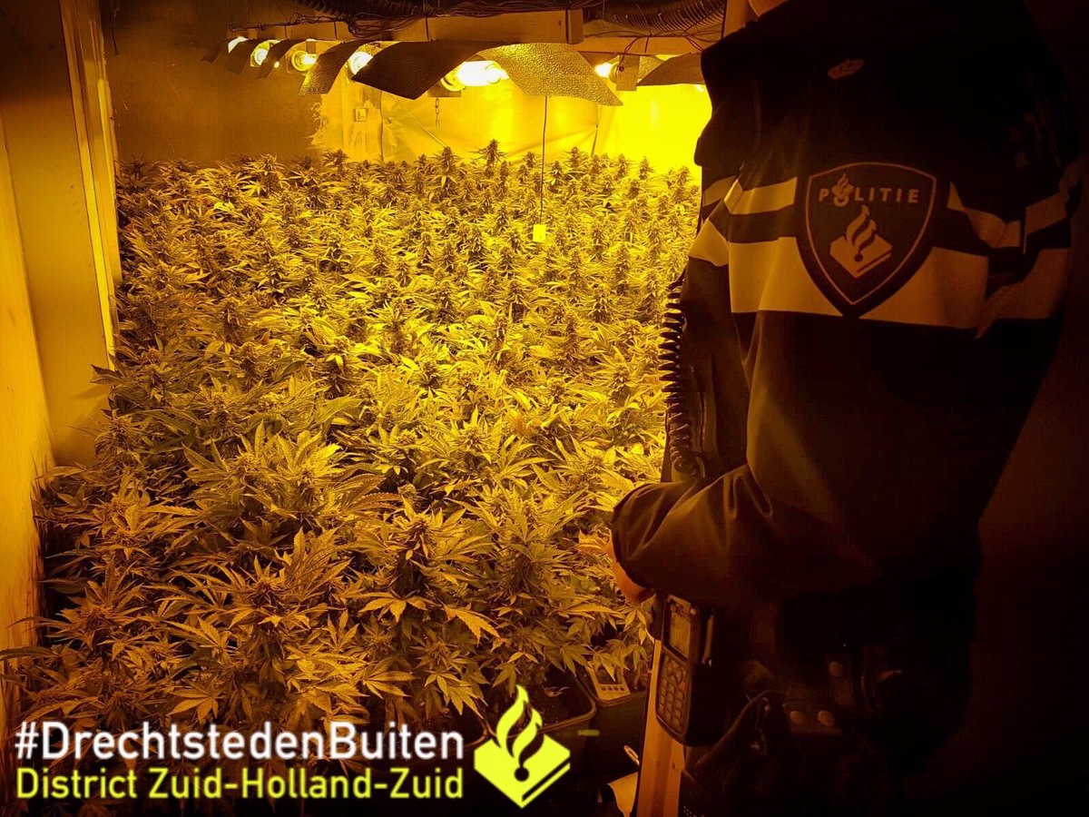 Door burgemeester <a href="/BramvanHemmen/">Bram van Hemmen 🧢</a> is afgelopen vrijdag een #huurwoning aan de Lijsterweg in #Sliedrecht voor 4 maanden gesloten ⛔️ Eind februari troffen we daar een #hennepkwekerij van ruim 800 planten in een #seniorenflat aan ⚠️ #13bOpiumwet #WetDamocles

instagram.com/p/Bxb7wPdCfTf/…