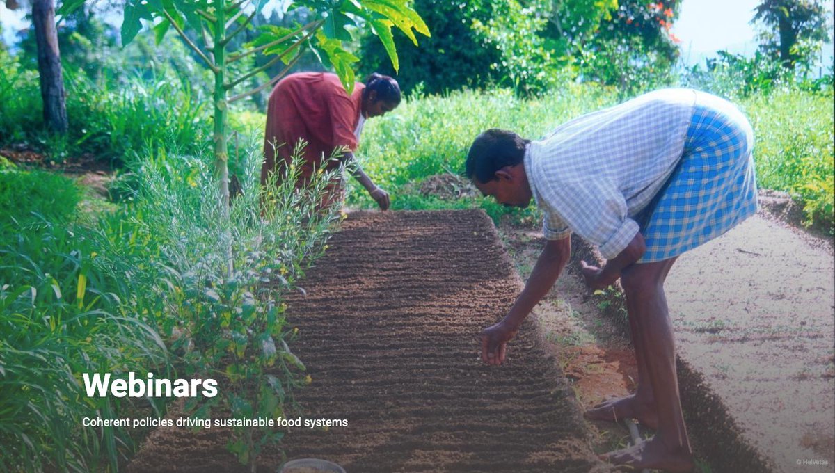 What can policy makers do to transform food systems? Join us for the <a href="/Helvetas/">Helvetas</a> webinars on May 16 &amp; 20 at 2:00pm CEST and hear from the experts! bit.ly/2JFS0CW