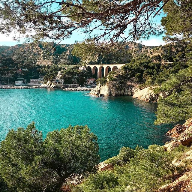 😴😍 Posé à l'ombre des pins de la Calanque de Méjean, qui dit mieux ?

📸 marie_milan
🇫🇷 Calanque de Méjean
#Provence