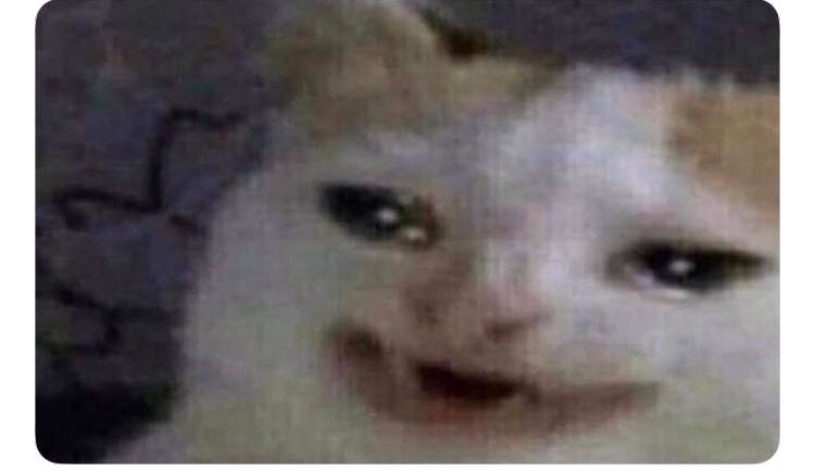 Me: Me ando tirando muchos gases.

Google: Tos anal.