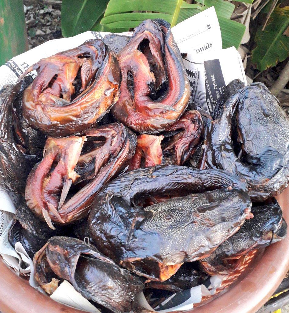 @Habeemborlah AKA the fishwoman deals on Spicy Dried catfish, Fingerlings and juveniles, Fish farm management services etc.With N2,000 for a Pack of 6 she can deliver anywhere.Contact her on +2348075174452 and +2348169183719