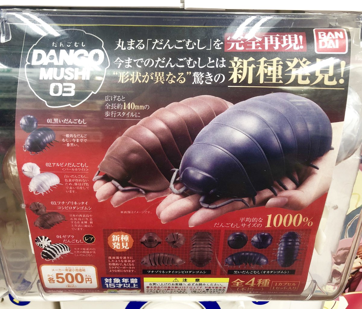 BANDAI - ダンゴムシ  11個セット ガチャガチャ BANDAI - ダンゴムシ 11個セット ガチャガチャ 2025年8月
