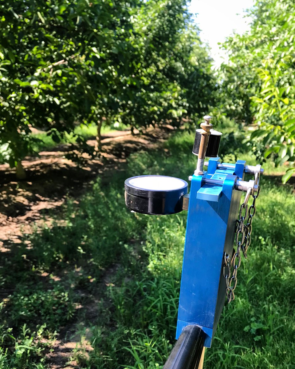 MillironLuke's tweet photo. Ken Shackel and I discuss the power of the pressure chamber to inform orchard irrigation management in the latest episode of Growing the Valley! Allan Fulton and I also talk start of irrigation in walnut. @PhoebeG_Orchard @CaWalnuts @UCDavisPlants  https://t.co/20LgOrV1lH https://t.co/JHuFcIemsU