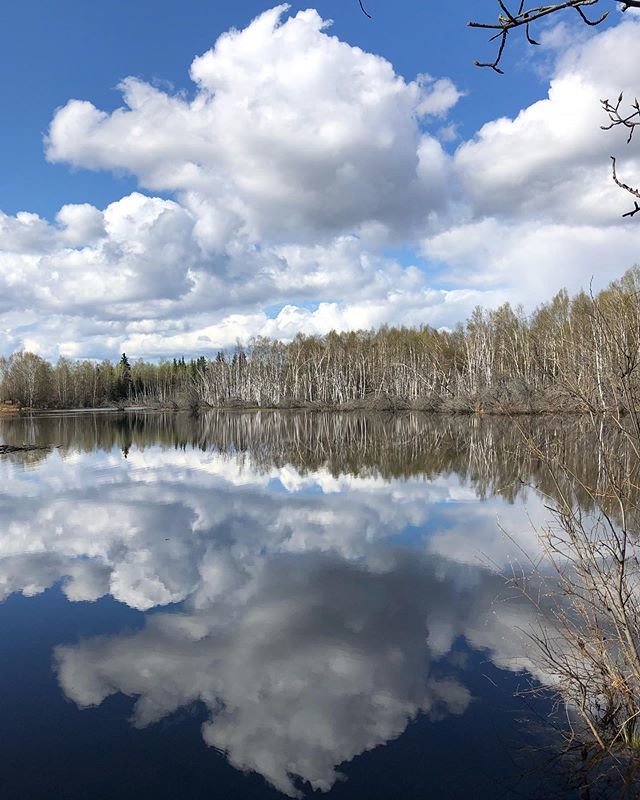 explorfairbanks's tweet photo. Creamer’s Field last week. Magnificent clouds create a cool reflection. Green-up is underway!
Photo @alaskareedgeiger .
.
.
.
#springinalaska
#alaskarange
#midnightsunseason
#explorefairbanks
#fairbanks
#fairbanksalaska
#alaskaroadtrip
#creamersfield
#m… https://t.co/ehq0gn6Dhs https://t.co/ToudmMNOzX