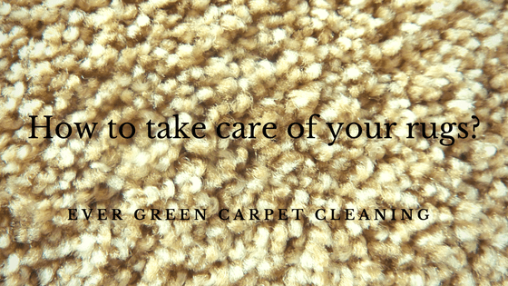 How to take care of your rugs?

#rugcleaning #rugcleaners #rugcleaninginmississauga #professionalrugcleaniing  #mississaugaontario  

lnkd.in/g4dz-nt