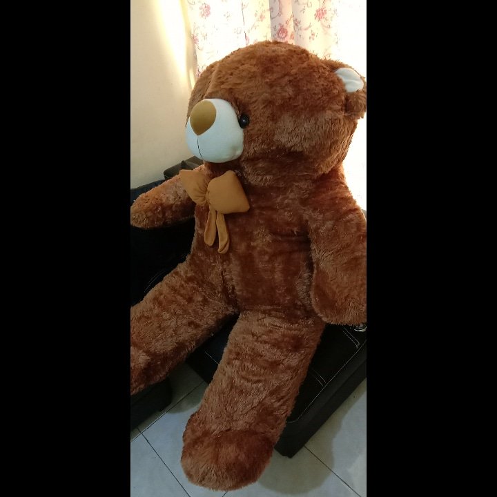 Boneka Beruang Lucu Murah Hadiah Wisuda Love Valentine Boneka Beruang Lucu Murah Hadiah Wisuda Love Valentine