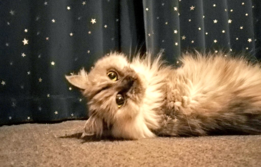 動画のギターや歌ついてのアドバイスやコメント、たくさんのDM本当にありがとうございます！！！

まだまだ下手っぴなのでアドバイスを頼りに練習がんばっていきます☺🔥