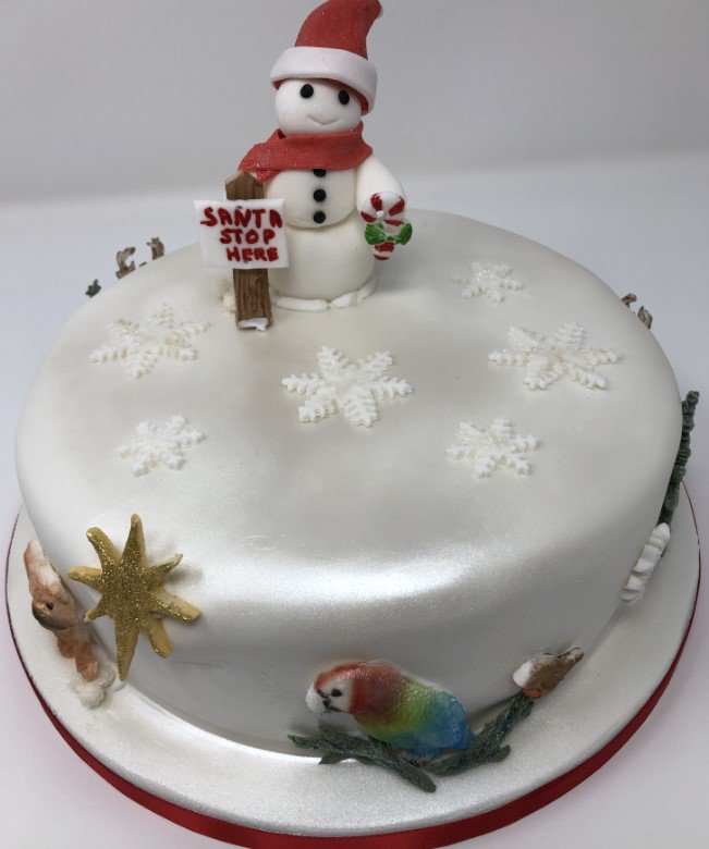 Your_CakeLady's tweet photo. @Your_CakeLady 
#ChristmasCake with #sugarpaste #decoration
https://t.co/uWQ3D6K1ey https://t.co/lizCzQ8BoT