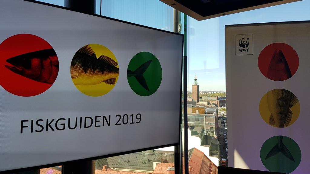 Nu presenterar vi 2019 års nya Fiskguiden, på Tak i Stockholm. Ladda ner appen och handla den dubbelt goda fisken, hållbart och gott! # <a href="/WWFSverige/">VärldsnaturfondenWWF</a> #fiskguiden