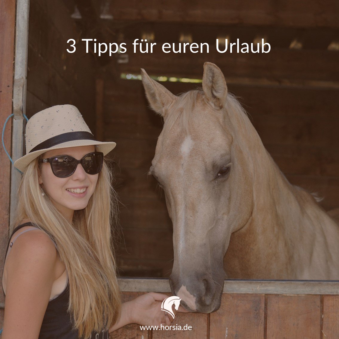 HorsiaPferde's tweet photo. Mit dem eigenen #Pferd auf #Reisen - #Tipps:
1. Die Reisezeit sollte nicht mehr als 8 Stunden betragen. 
2. Gibt es #Weidegang &amp; #Paddocks? Wie wird eingestreut &amp; gefüttert? 
3. Ist der aktuelle #Hufbeschlag für das #Reiseziel geeignet? 
#pferdeliebe #pferdefans #horsia https://t.co/yIUlZUlvkN