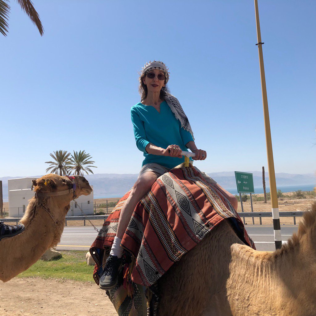 JoyceCarolOates's tweet photo. Roadside 🐫 
West Bank/ Judea https://t.co/ZGcXPJBedT