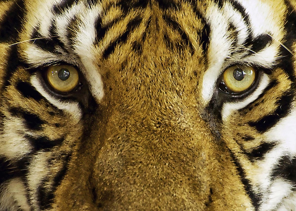 Big Brother is now at Companies House and it is coming for you!  👉 Graham's Insights - bit.ly/2VYMody