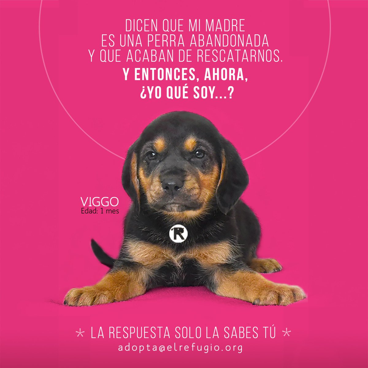 #AdoptandoQuesGerundio