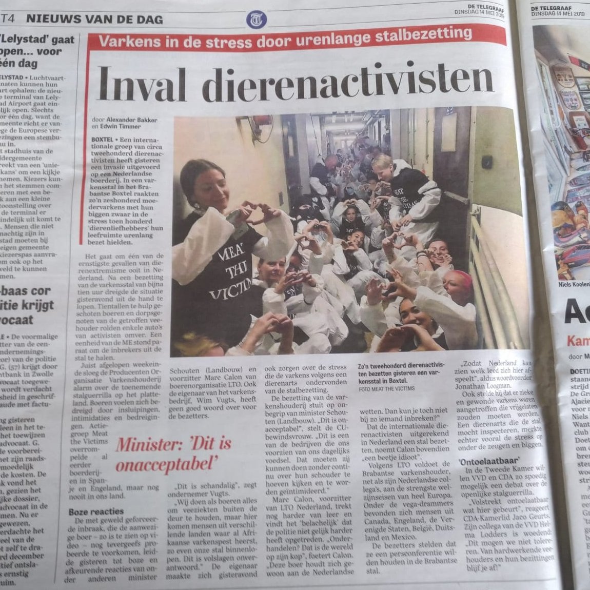 Wat zouden de reacties zijn als er 200 man de kinderdagverblijven in Amsterdam, 10 uur lang bezet zouden houden? Zou de politie ook zo soft zíjn? 
Deze biggetjes lagen knus bij hun moeder, voordat ze in de stress schoten. Geen stijl.