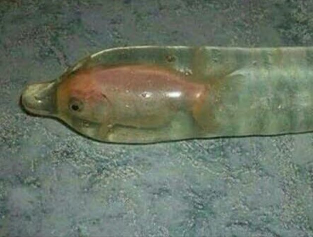 Nadie: 

Semen de un Veracruzano: