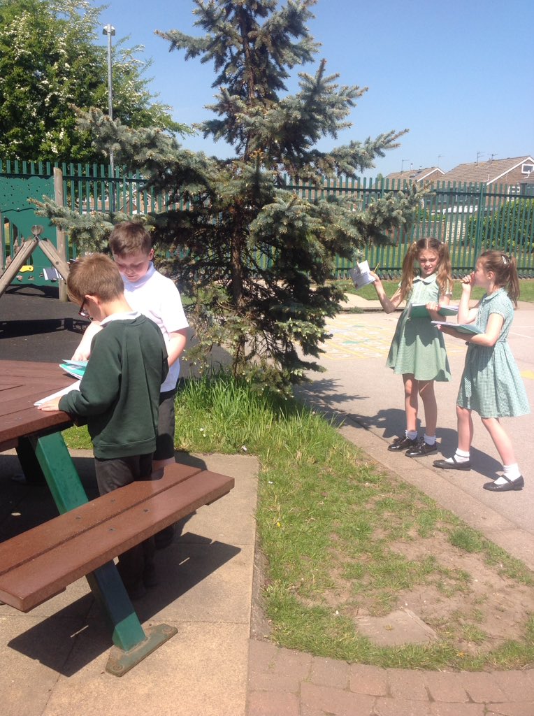 HensallClass's tweet photo. Busy matching the reproductive parts of a plant to their function. And enjoying the weather. 👍 https://t.co/UTtxv2Mi6v