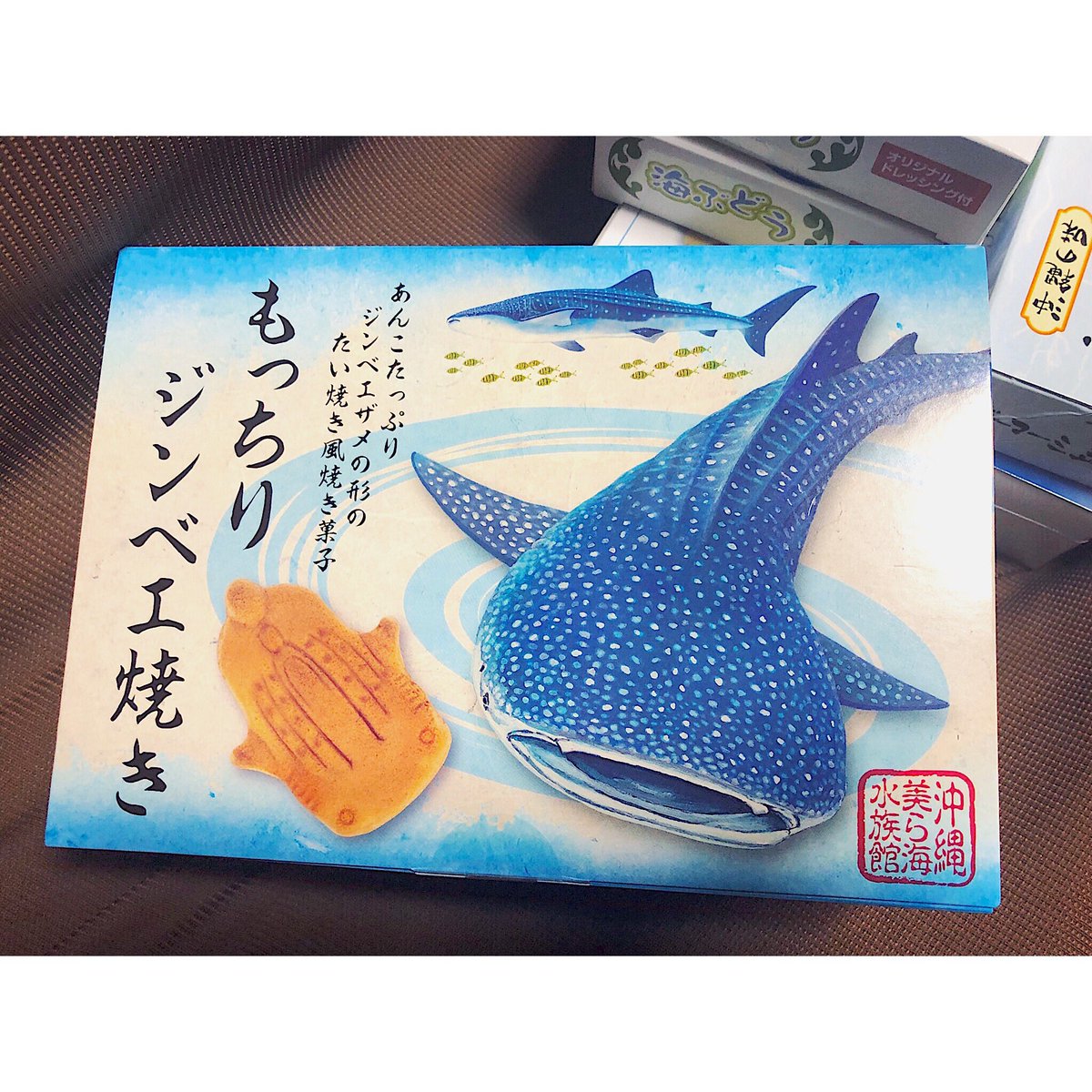 かんわいいお土産もらった🦈 
