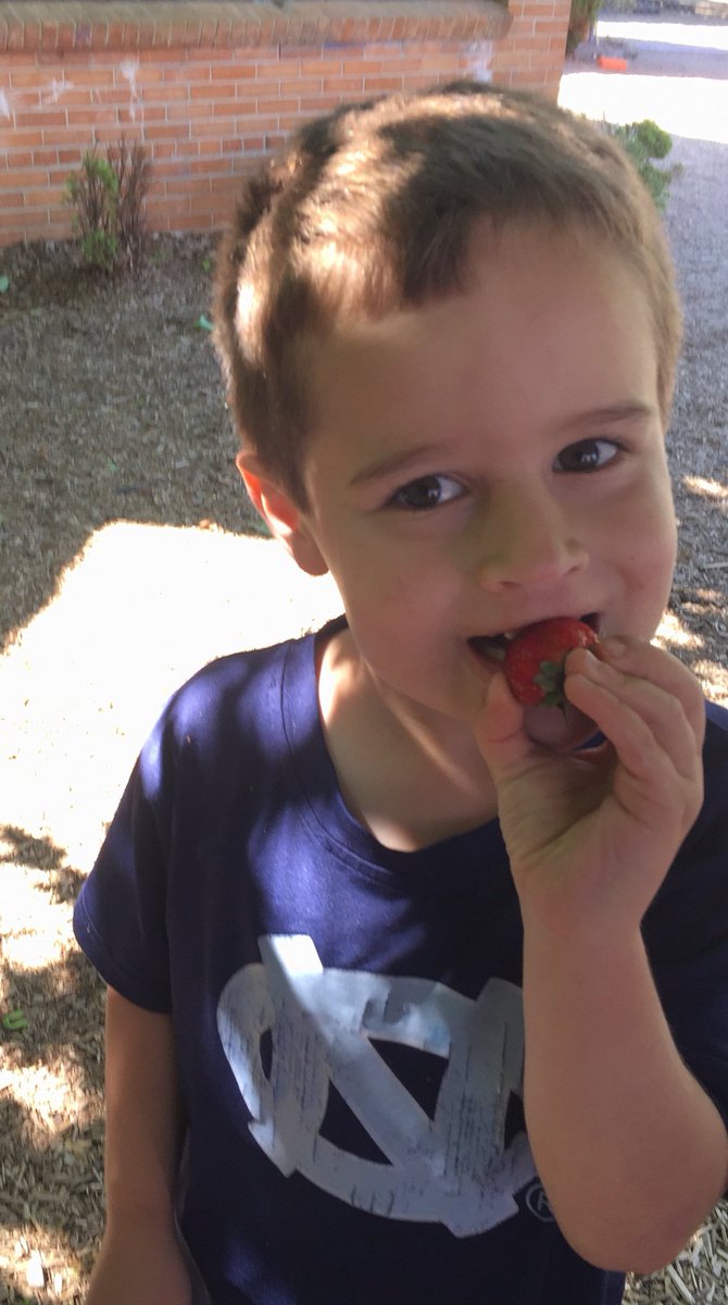 Asheville City Schools tweet media