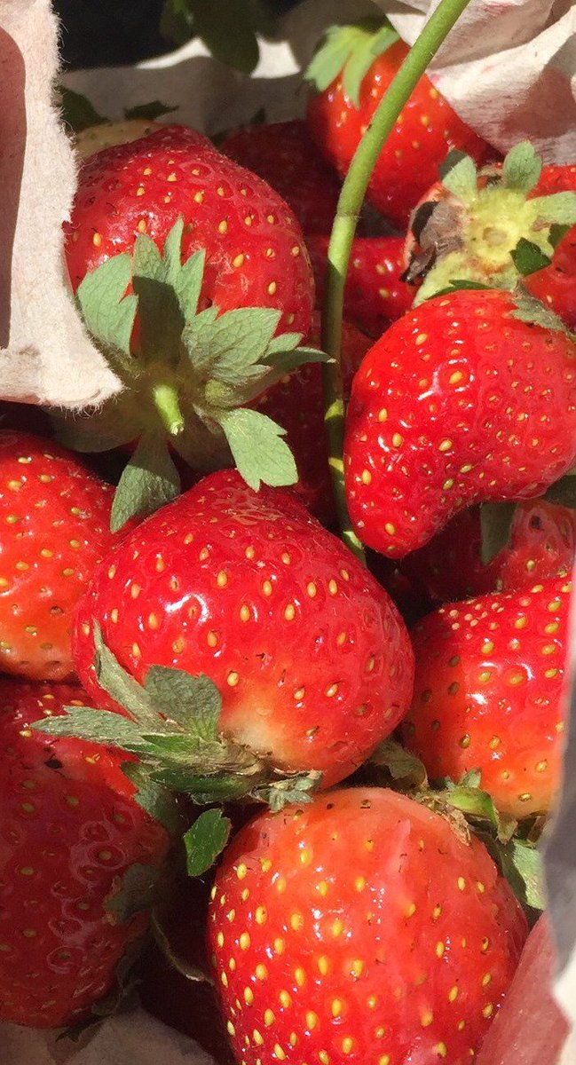 Asheville City Schools tweet media