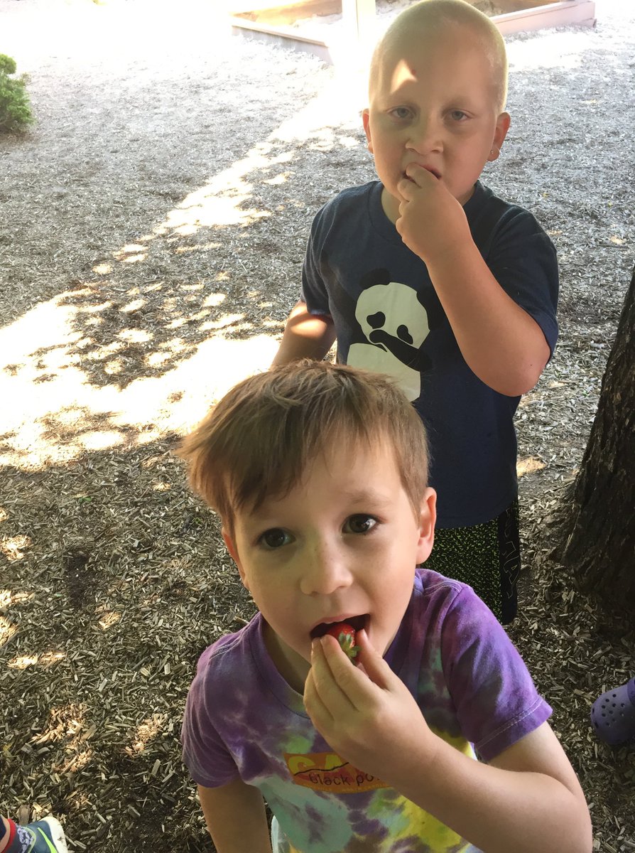 Asheville City Schools tweet media