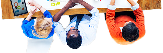 Diversity Partners tweet media