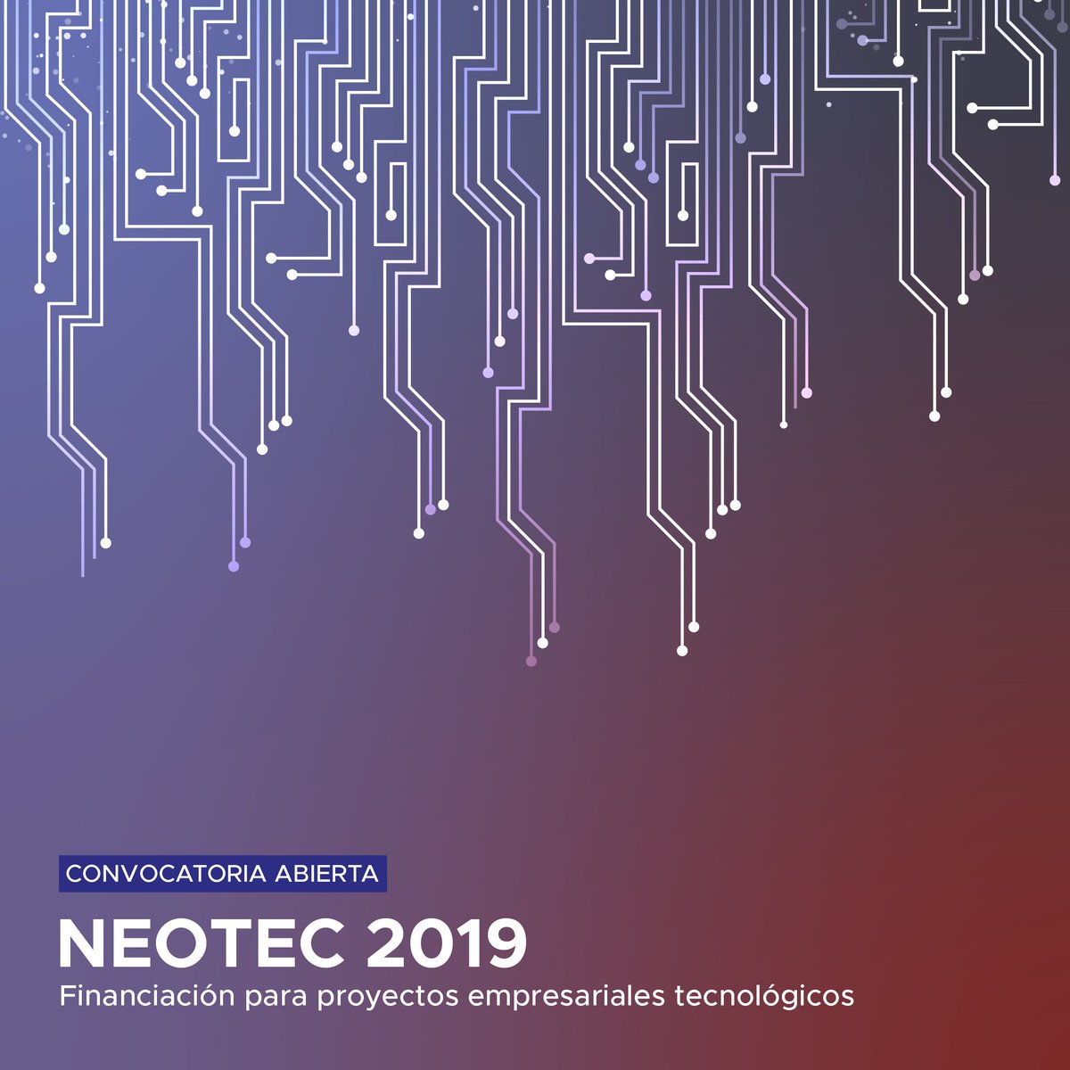 SPEGC's tweet photo. Próximamente se publicará la convocatoria #Neotec2019 para financiar nuevos proyectos empresariales que requieran el uso de tecnologías y en los que la estrategia de negocio se base en el desarrollo de tecnología. Abierta hasta el 1/7.
👉 Más info:
https://t.co/q1ZKORzIAO https://t.co/scA1uinjKC