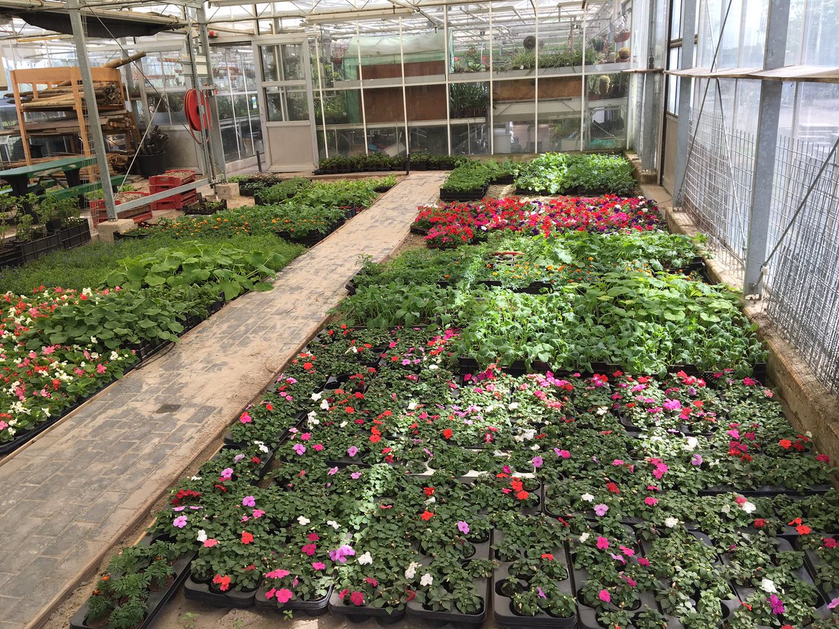 AeresHeerenveen's tweet image. Morgen de jaarlijkse Plantjesmarkt van 10.09-15.30 uur U bent van harte welkom                                                         Tevens om 13.30 en 14.30 uur de Catwalk