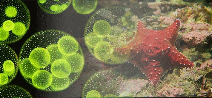 unmdp's tweet image. #Cursos #Postgrado #Exactas
Conocé la oferta disponible de Cursos de Postgrado que se dictan en la Facultad de Ciencias Exactas y Naturales #UNMDP 
Toda la info 👉bit.ly/2W0pEtr