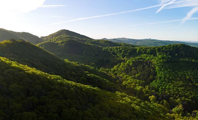 Tronal's tweet image. Ocean of Green

#lifeingermany #natur #djiglobal #dji #landscape #landschaft #mavicair #dronephotography #djimavicair  #fromabove #industry #cinematiclook #cinematic #vscocam #moodygrams #igdaily #photooftheday #drone_ig #dronepilot #dronstagram #dronepi… bit.ly/2LJ8i0j