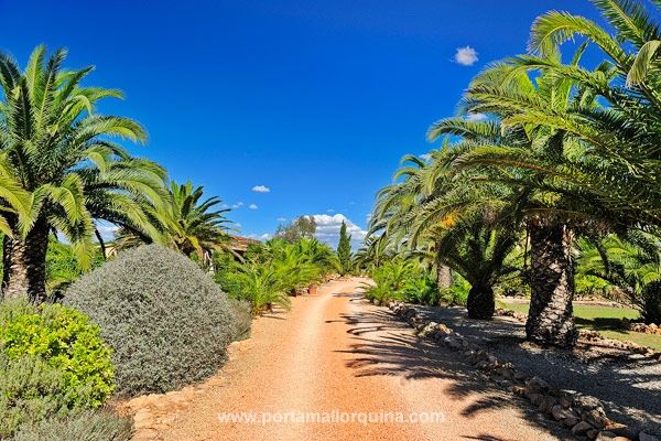 Luxusvillen, Entertainment am Strand, Fincas, Pueblos und mallorquinisches Flair im Hinterland. Lesen Sie mehr... porta-mallorquina.de/blog/llucmajor…

 #realestate #portamallorquina #dreamhome #mallorca #sunlight #baleares #mallorcalover #luxury #immobilien #holiday #summer #entertainment