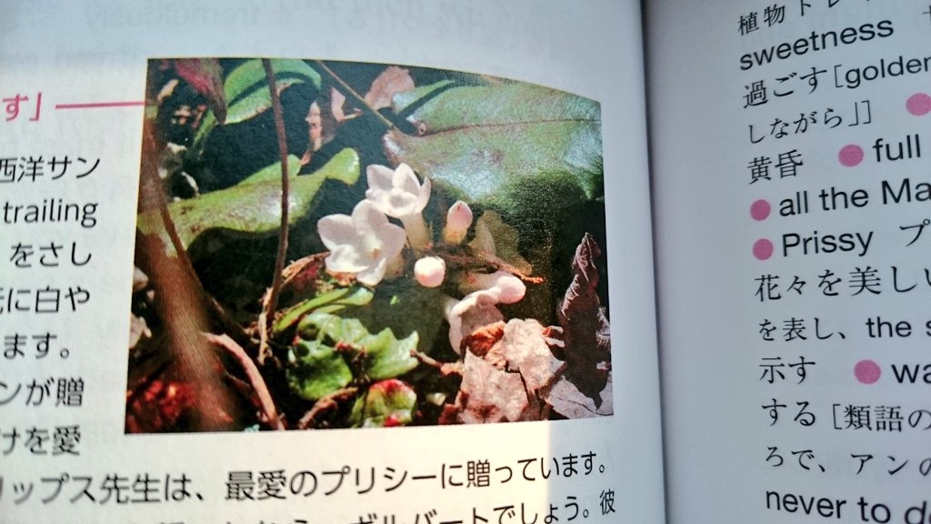 松本侑子 初の全文訳 赤毛のアン メイフラワーの写真をご覧ください 掲載は 英語で楽しむ赤毛のアン 対訳 解説 松本侑子 ジャパンタイムズ刊 英文音読cd付 52円 10刷のロングセラー カラー写真160枚です T Co Sxjomnvwxt