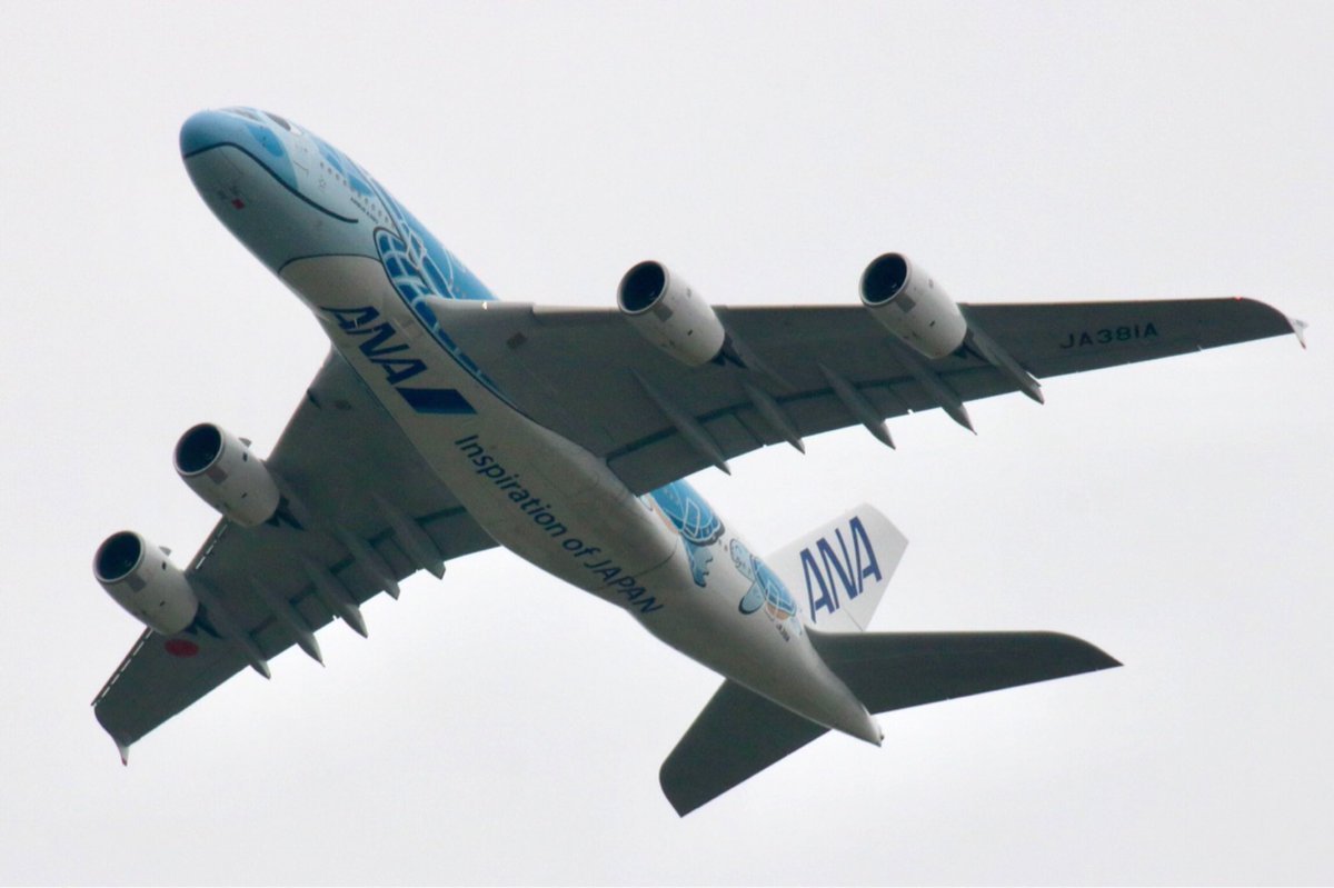 Toku220's tweet image. ANAのA380型機
ウミガメジェット撮れた！

 #航空科学博物館  #成田空港