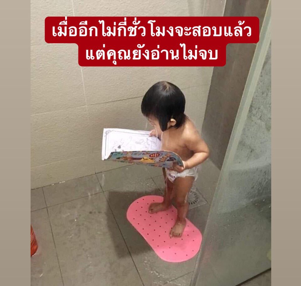 ไอหนมหม๋าตัวโปรดของเธอ tweet media