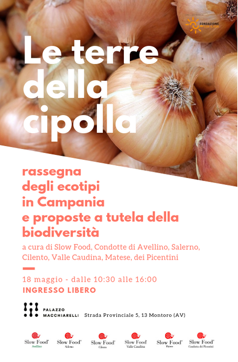 PMacchiarelli's tweet photo. Il 18 maggio a partire dalle 10:30 le condotte Slow Food di Avellino, Salerno, Cilento, Valle Caudina, Matese e dei Picentini presentano a  Palazzo Macchiarelli "Le terre della cipolla", rassegna degli ecotipi e proposte a tutela della biodiversità. 

Ingresso GRATUITO https://t.co/paJr5tM6tW
