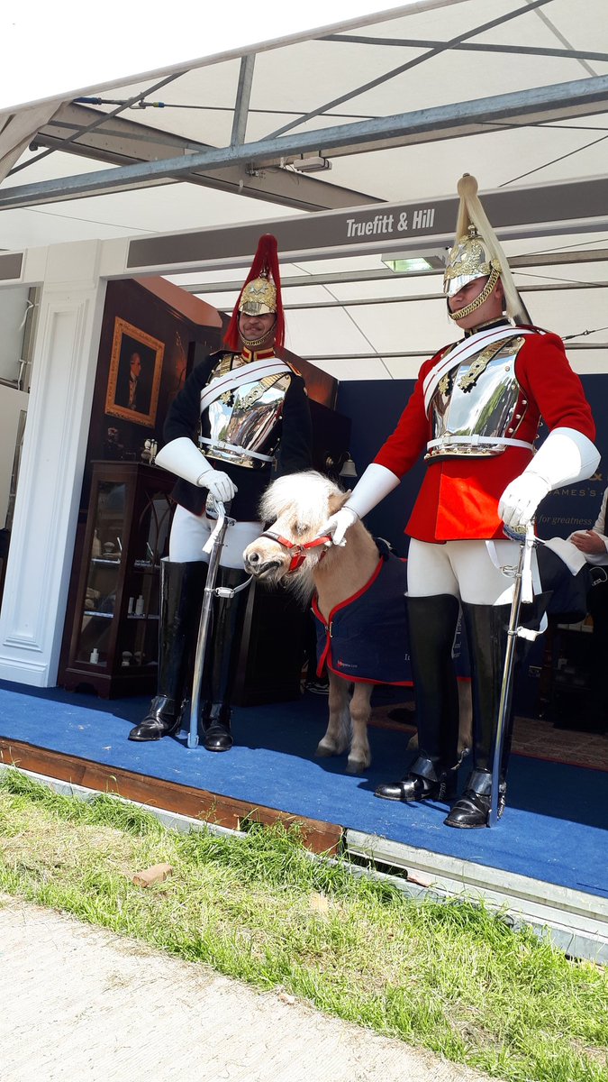 HouseholdCavalry FDN tweet media