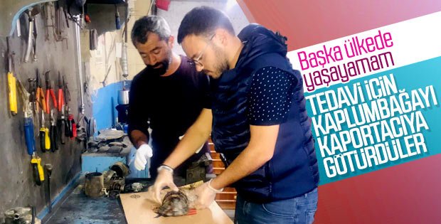 mevlüt eroğlu (@mevlut0233) on Twitter photo 