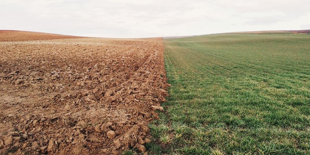 sariauk's tweet photo. Our #Vision2020 ethos is shared by every business in the SARIA Group. @kalfos_bio uses abbatoir and farm waste to create a valuable, nutritionally-dense fertiliser for new crops. Just another link in SARIA's closed-loop system! #compost #sustainability https://t.co/1xef0FpWxr https://t.co/g0DrNmeYhj