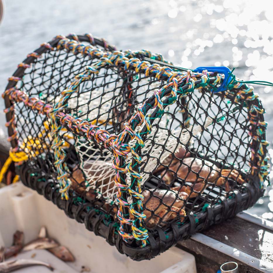 GaelForceGroup's tweet image. Still made in Stornoway after all these years... #gaelforcecreels #creels goo.gl/4h4ABG