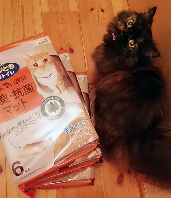 @sukedachi1 お返事遅れてすみません、ご感想ありがとうございます!鬼乳は気に入っていただいてる方が結構いらっしゃるみたいなのでいずれ続きを描きたいですね～、ママのエロいのも描きたいです。それと誕生日プレゼント届きました!わざわざありがとうございます、猫も喜んでおります!w 