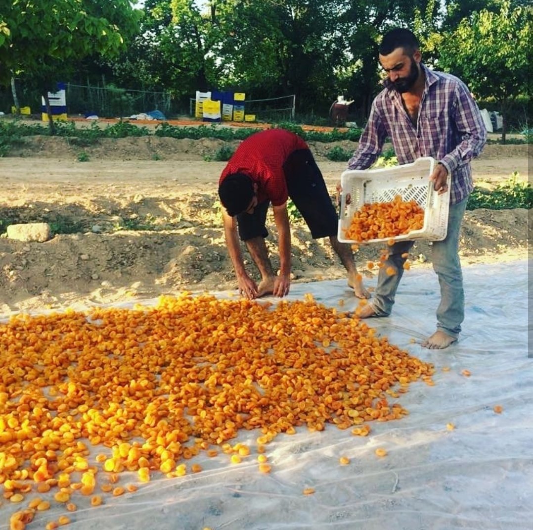 #DünyaÇiftçilerGünü 
Her özel güne ait fotoğrafımız bulunur.🤫